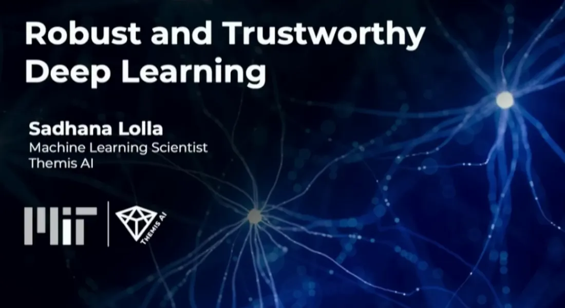Robust and Trustworthy Deep Learning (part 3): Themis AI